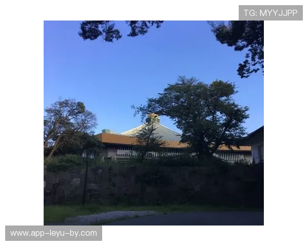 东京武士道击败重庆飞虎队，实现两连胜，东京武道馆能容纳多少人