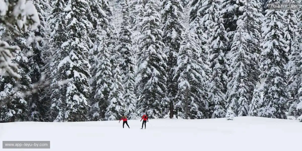 📺超清画质，实时直击！💥一键开启，赛事永不缺席！
